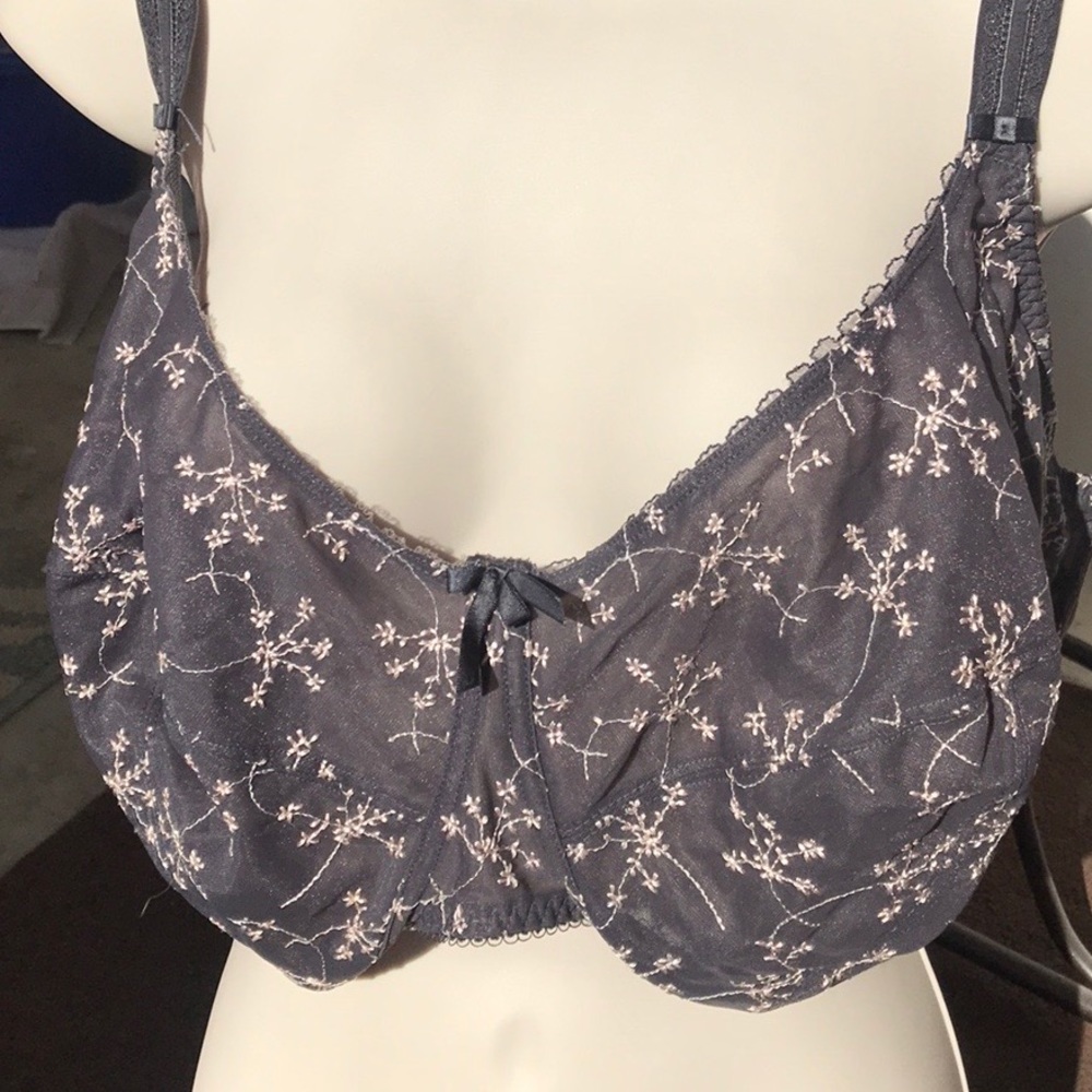 Fantasie Bra 40J